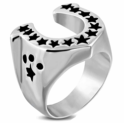 Lucky Star Horseshoe – Herrering i rustfritt stål